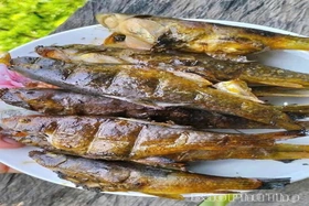 Cá sứt - món độc đáo trong ẩm thực vùng cao