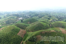 Minh Đài phát huy lợi thế, tạo bứt phá cho sản phẩm OCOP