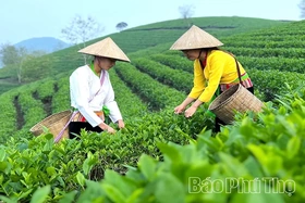 Bringing Agricultural Products to Wider Markets