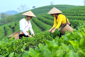 Đưa nông sản vươn xa
