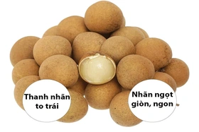 Giá cả thị trường ngày 28/8/2026