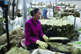 Khơi dậy phong trào thi đua yêu nước