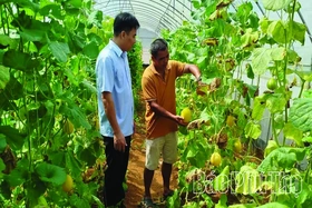 Động lực phát triển nông nghiệp bền vững