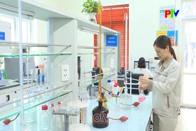 Duy trì sản xuất kinh doanh trong dịp nghỉ lễ