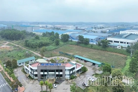 Công nghiệp xanh để tăng trưởng bền vững