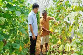 Động lực phát triển nông nghiệp bền vững
