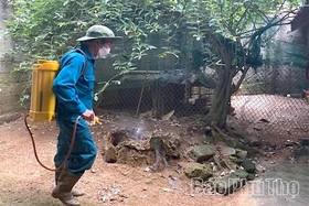 Đông Thành chủ động phòng, chống dịch bệnh truyền nhiễm