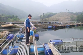 Nhân rộng mô hình&nbsp;nuôi trồng thuỷ sản có&nbsp;hiệu quả&nbsp;