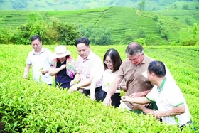 Tạo bứt phá tiềm năng du lịch xanh