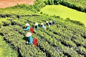 Đường lớn cho kinh tế tư nhân - Kỳ 2: Khơi dòng nguồn lực