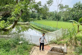 Bí ẩn chuyện “giếng cãi”