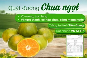 Giá cả thị trường&nbsp;ngày&nbsp;12/9/2026&nbsp;