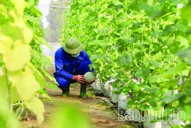 Phát triển nông nghiệp cận đô thị theo hướng hiện đại