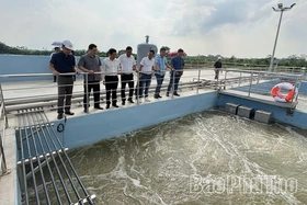 Bảo vệ môi trường cho công nghiệp xanh