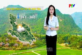 Dự báo thời tiết tỉnh Phú Thọ ngày 8/9/2026