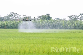 Hiệu quả việc sử dụng thiết bị bay không người lái sản xuất nông nghiệp