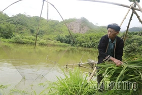 Thủ lĩnh hạ sơn - Kỳ 2: Những phú nông trên đất khó
