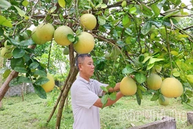Nông dân Chí Đám thi đua sản xuất, kinh doanh giỏi
