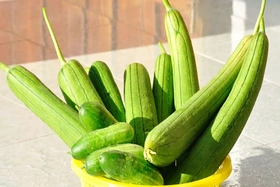 Giá cả thị trường&nbsp; ngày&nbsp; 19 / 9/2026