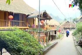 Phu Tho Culture Express - Preserving the soul of heritage promoting the value of histotical relics