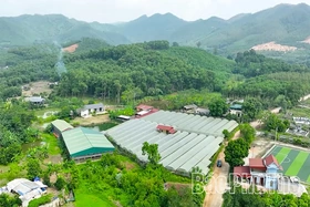 Cự Đồng phát triển kinh tế xanh, bền vững
