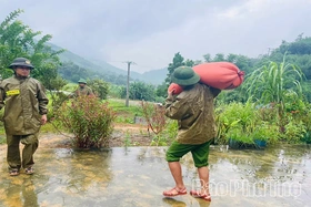Khắc phục thiệt hại do thiên tai, chủ động bảo vệ dân cư
