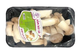 Giá cả thị trường ngày 18/9/2026