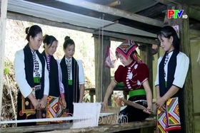 Phu Tho News on September 16, 2026