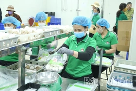 Khi sản phẩm OCOP đi vào “chiều sâu”