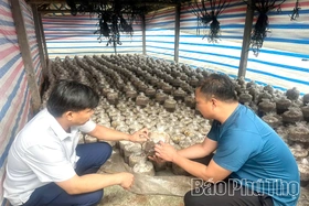 Giảm nghèo từ sinh kế, tạo nền tảng bền vững