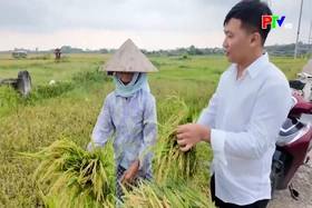 Trưởng thôn thế hệ mới