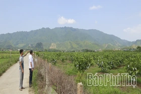 Nghịch lý xóm “hữu đinh, vô điền”