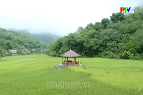 Phu Tho Culture Express - Turning culture into a driver of tourism development