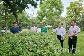 Hiệu quả bước đầu từ sáp nhập thôn, xóm, tổ dân phố