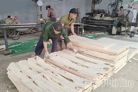 Để ngành chế biến gỗ phát triển bền vững