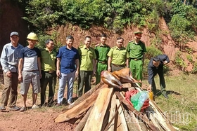 Tiêu hủy cá thể hoẵng là tang vật vi phạm quy định về quản lý động vật rừng