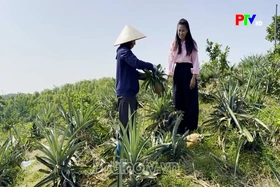 Phu Tho News on October 03, 2026