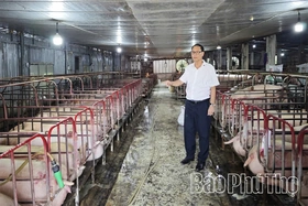 Tỷ phú nhà nông trên quê hương Đất Tổ