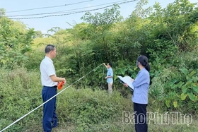 Xã Vĩnh Thành: 40/58 trường hợp vi phạm trong phạm vi bảo vệ đê điều đã tự giác khắc phục hậu quả