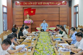 Đoàn đại biểu Quốc hội tỉnh giám sát việc thực hiện chính sách, pháp luật trong quản lý nhà nước về đô thị