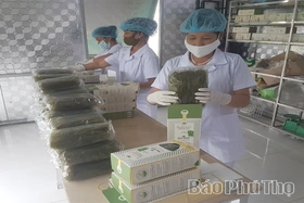 Đưa sản phẩm OCOP vươn xa