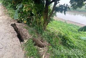 Chủ động ứng phó sự cố sạt lở bờ sông Bứa