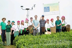Sản xuất xanh để phát triển bền vững