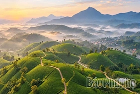 Long Coc – An Attractive Destination in the Ancestral Land