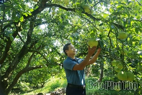 Trải nghiệm sản vật tiến Vua