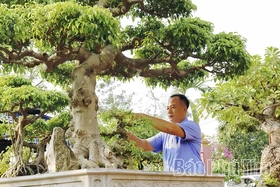 Thú chơi cây cảnh ở miền quê Sông Lô