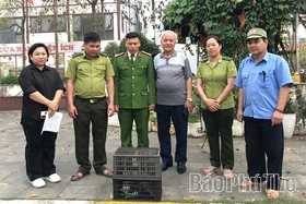 Chung tay đưa động vật hoang dã về tự nhiên
