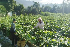 Tam Dương Bắc chung sức xây dựng nông thôn mới