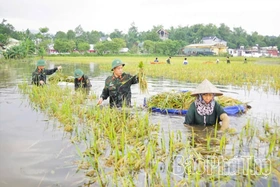 Dân vận khéo vun đắp nghĩa tình quân - dân
