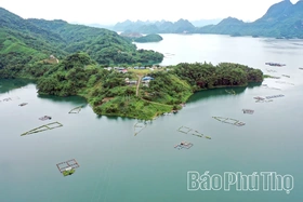 Tiền Phong tập trung nguồn lực, tạo động lực phát triển